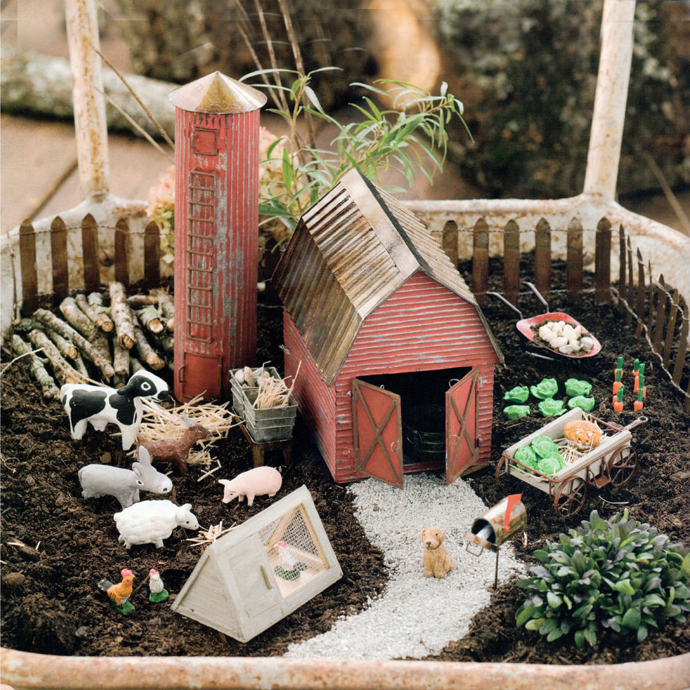 Rural Farm and Barnyard Miniature Gardening Kit