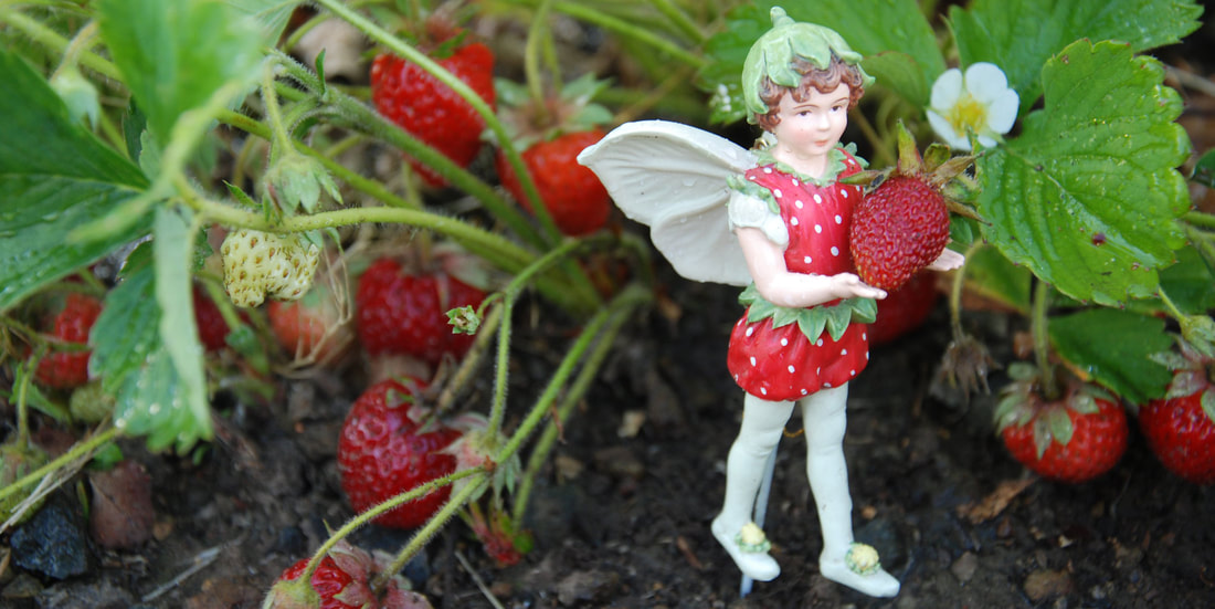Geranium Flower Fairy Figurine Cicely Mary Barker Miniature Garden 